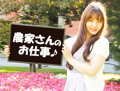 コロナをぶっ飛ばせ 簡単、短期南幌 岩見沢近郊農作業スタッフ　