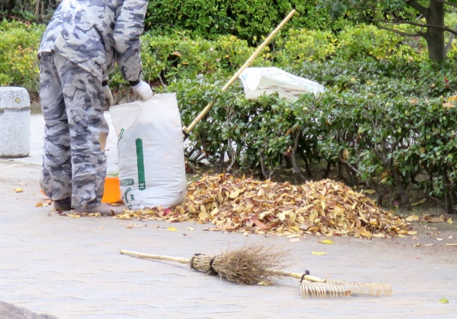 札幌市白石区草刈補助アルバイト日給８千円　日払い可