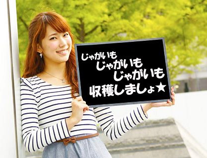 短期農作業アルバイト北見市内１０日払い可