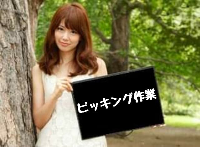 札幌市白石区長期ピッキング/時給1143円/軽作業/日払い可