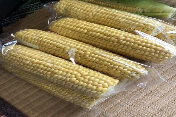 岩内短期野菜洗浄袋詰めアルバイト／日払い可／日給12000円