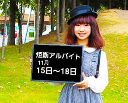 単発/4日間限定/内覧会案内係/時給１２５０円/日払い可