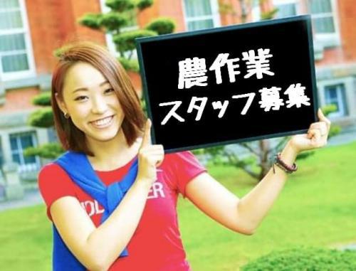 超短期/農家のバイト/人気職/岩見沢他/日給最大16千円